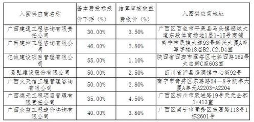 广东省科源工程监理咨询公司城仫佬族自治县政府性投资项目结算评审服务采购结果公告（广西）政府采购咨询服务解析