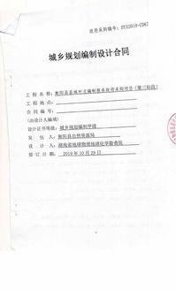 衡阳县县域村庄规划编制服务政府采购项目合同公告 服务采购内容与关键条款解读